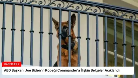 ABD Başkanı Joe Biden’ın Köpeği Commander’a İlişkin Belgeler Açıklandı