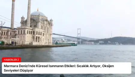 Marmara Denizi’nde Küresel Isınmanın Etkileri: Sıcaklık Artıyor, Oksijen Seviyeleri Düşüyor