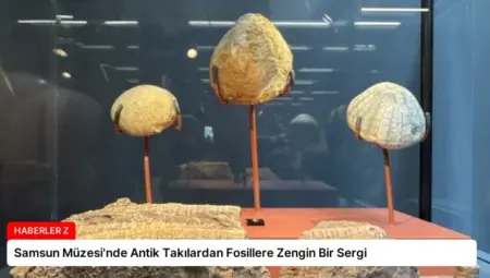 Samsun Müzesi’nde Antik Takılardan Fosillere Zengin Bir Sergi