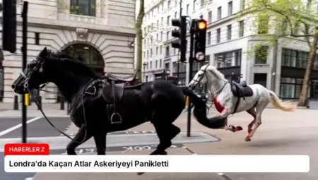 Londra’da Kaçan Atlar Askeriyeyi Panikletti